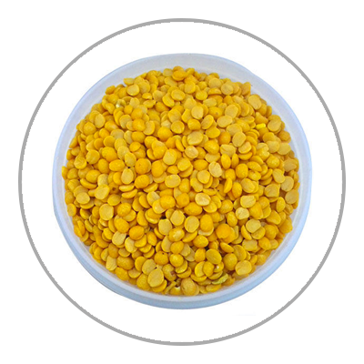 Dhal